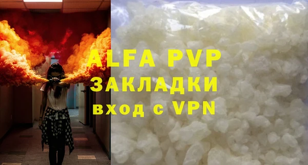 крисы Алзамай