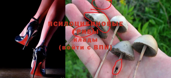 МДПВ Алексин