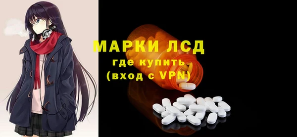 spice Каменка