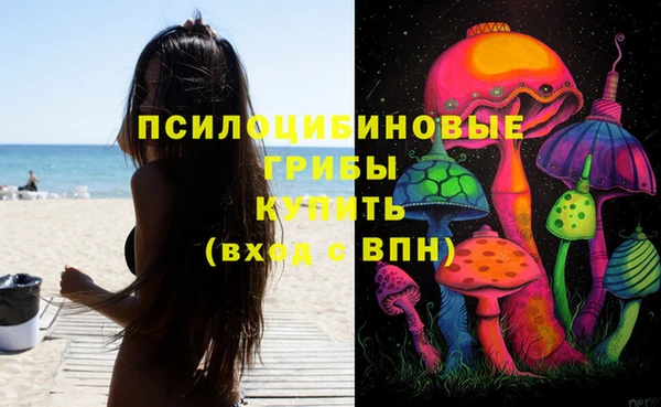 МДПВ Алексин