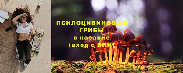 МДПВ Алексин