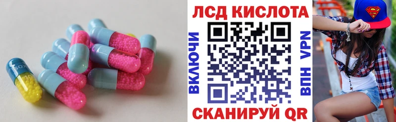 цена наркотик  Аргун  ЛСД экстази ecstasy 
