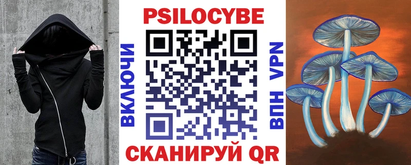 мега ONION Аргун Галлюциногенные грибы Psilocybine cubensis купить закладку